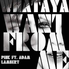 Adam Lambert feat Pink - What are you want from me