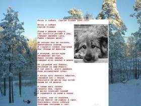 Ая (Город 312) - Песнь о собаке (стихи Сергея Есенина)