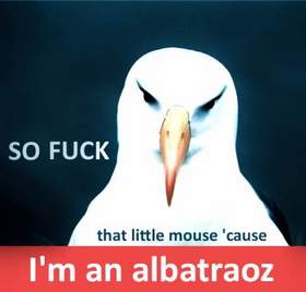 АЛЬБАТРОС - I'm An Albatraoz Original