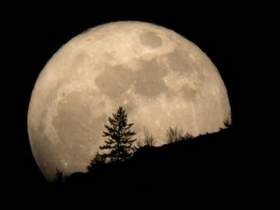 Андрей Бандера - Ночка лунная