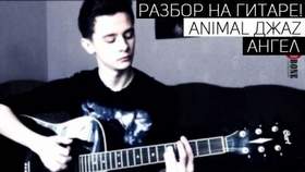 Animal Jazz - Ангел