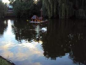 Александр ЗВИНЦОВ - Белый лебедь на пруду, качает павшую звезду, на том пруду, куда тебя