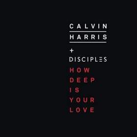 Calvin Harris & Disciples - How Deep Is Your Love ( DJ Bobi mash-up )