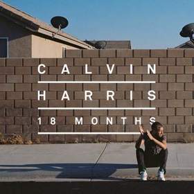 Calvin Harris - Drinking From The Bottle (Sania Pooshok Remix)