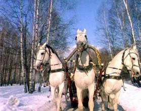 Чародеи - И уносят меня, и уносят меня в звенящую снежную даль три белых коня,