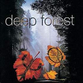 Deep Forest - Desert WalkDeep Forest  музыкальная группа, состоящая из двух