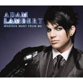 Dj Mitya Vs Adam Lambert - What do you want from me