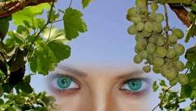 Эдуард Изместьев - У моей любви глаза зеленые