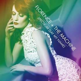 Florence and the Machine - Spectrum (Calvin Harris instrumental)
