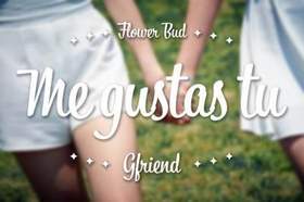 G-Friend - Me Gustas Tu (English cover)