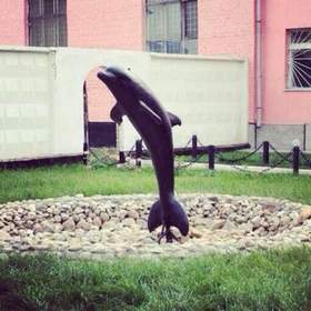 Гио Пика Черный Дельфин - черный дельфин