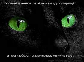 Говорят не повезет, Если черный кот дорогу перейдет, - А пока наоборот, Только черному коту и не везет.