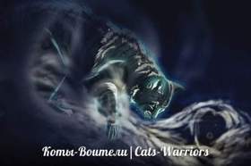 Коты - Воители(Warriors) - Синяя Звезда.Боль разлуки