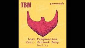 Lost Frequencies feat. Janieck Devy bass - reality