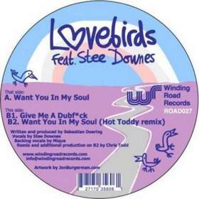 Lovebirds feat. Stee Downes - Want You In My Soul