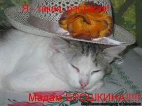 Алла Пугачева - Мадам Брошкина.Я знаю, что у нее, нее, нее.Душа кошкина.А я шикарная