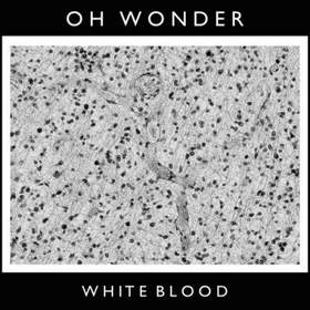Oh Wonder - White Blood (OTR Remix)