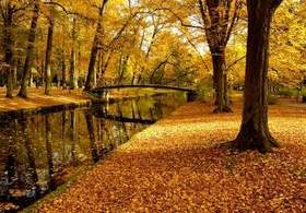 Осень - Ну давай же у листьев спросим