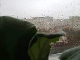 Pavel Kind - За окном барабанит дождь