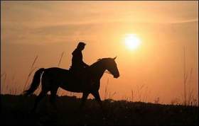Пелагея - Конь (Только мы с конем по полю идем..)