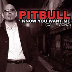 Pitbull - I Know You Want Me (Dj Ivan Frost remix)