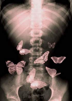 prvln - бабочки в животе