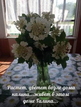 Русская народная - Растет, цветёт возле дома калина