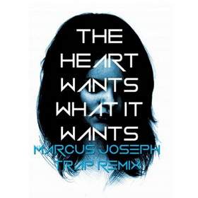 Selena Gomez и Marcus Joseph - The Heart Wants What It Wants (2016)