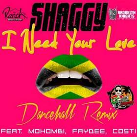 Shaggy feat. Mohombi, Faydee - i need your love