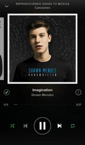 Shawn Mendes - Imagination (минус)