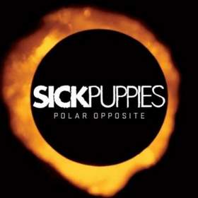 Sick Puppies - You're Going Down [Acoustic Version]