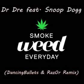 Snoop Dogg feat. Dr.Dre - Smoke Weed Every Day(the next episode)