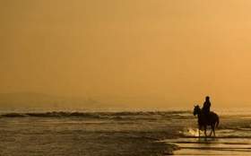 Солнечный Кот - Лошади в океане (Борис Слуцкий И.Эренбургу)