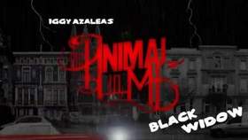 The Animal In Me - Black Widow (Iggy Azalea Cover)