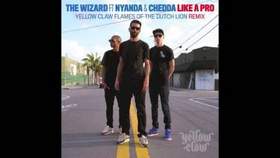 The Wizard ft Nyanda & Chedda - Like A Pro