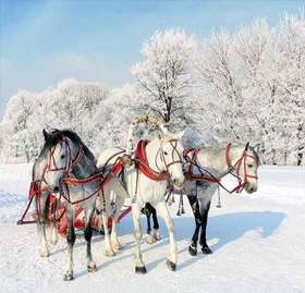 Детские песни - Три белых коня (на новый год)