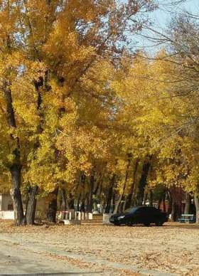 триада - не было печали, просто наступила осень. город с листьев желтых