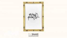 Unknown artist - DJ Snake and AlunaGeorge - You Know You Like It