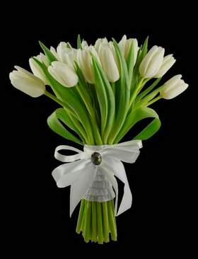 Виктор Королёв - Белые тюльпаны