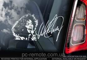 Whitney Houston - I Will Always Love You - минус как в оригинале