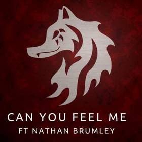 Wontolla - Can You Feel Me (ft Nathan Brumley)