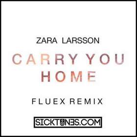 Zara Larsson - Carry You Home